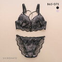 ピュアシェリ クロスストリング 総レース ブラセット ABCD ブラジャー ショーツ セット PURECHERIE レディース 全2色 B65-M-D75-M 下着