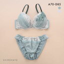 ピュアシェリ エレガントラメシフォン ブラセット ABCD ブラジャー ショーツ セット PURECHERIE レディース 全2色 A70-M-D85-LL 下...