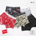 ヘインズ Hanes ボクサーブリーフ 柄がわかる福袋 5枚セット メンズ 全2色 M-LL