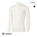 10%OFF メール便(15) ゴールドウイン C3fit クーリング モックネック ロングスリーブ シャツ メンズ スポーツ 持続冷感 Goldwin 全2色...