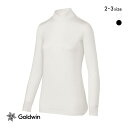 10%OFF【メール便(17)】 ゴールドウイン C3fit クーリング モックネック ロングスリーブ シャツ レディース スポーツ 持続涼感 Goldwin ...