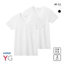 20%OFF グンゼ YG ドライタッチ 鹿の子 Vネック Tシャツ 2枚セット メンズ インナー クール GUNZE ワイジー 全2色 M-LL 父の日 ギフ...