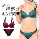 再販 エレガント グロリアスローズ ブラセット GHI65-95 大きいサイズ グラマー 盛り ブラジャー ショーツ セット 脇寄せ L字 谷間 盛り胸 Elegante レディース 全2色 G65-M-I90-3L