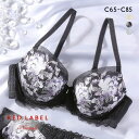 15%OFF トリンプ TR0121 レッドレーベル バイ トリンプ ブラジャー C Triumph レディース 全3色 C65-C85