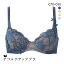 【20%OFF・9/11 09:59まで】 ワコール デコルテアップブラ プレミアム 21series BXD721 21G 3/4カップブラジャー C Wacoal レディース 全4色 C70-C80 ev_sp_20