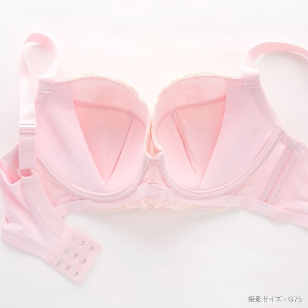 ＼P5倍・3/10 20時開始！23:59まで／ビーオーエヌ 美胸 脇寄せ バストメイクブラ ペールフラワー シリーズ ブラジャー ショーツ セット GHI 脇すっきり グラマー bon レディース ブラセット 下着 上下セット 大きいサイズ 全3色 G65-M-I85-LL