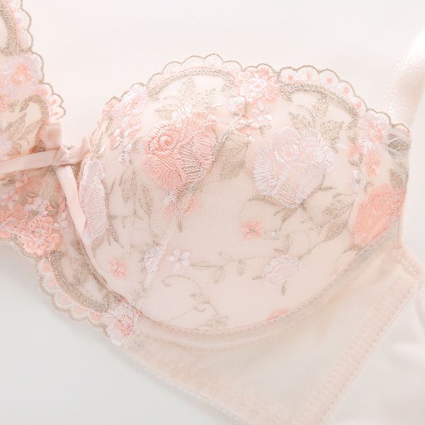 段差すっきり体験 安心脇高 アーチローズ刺繍 ブラジャー ショーツ セット ABCD70-85 脇高 脇肉 アンダー大きいサイズ グラマー 谷間 着やせ レディース ブラセット 下着 上下セット 全2色 A70-M-D85-LL