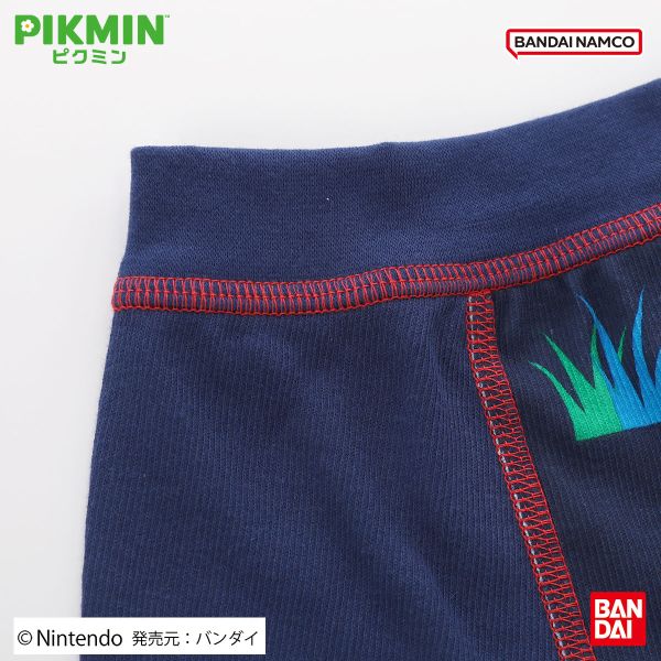 20��OFF �ԥ��ߥ� ���å� ����˥� �ܥ������֥꡼�� 2�祻�å� �˻� �ˤλ� �ܥ������ѥ�� PIKMIN ��2�� 110-130