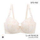 しっかりささえるリフトアップ ソフトワイヤー ブラジャー レディース グラマーサイズ 大きいサイズ 全2色 D75-F85