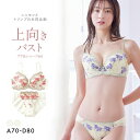 【ニッセンとトリンプ共同企画】フラワーブラジャーショーツセット フラワーブーケ柄 ABCD レディース 全2色 A70-M-D80-L