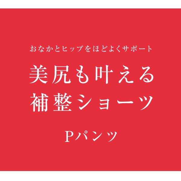 【20%OFF・7/13 09:59まで】 ワコール ウイング 美尻も叶える補正ショーツ Pパンツ ふわふわ肌側起毛 温活 ML2L ガードル ロング 補正下着 Wacoal Wing レディース 全2色 M-LL 補整 【メール便(10)】 ev_sp_20 shirohato-10220284 SHIROHATO(白鳩) サンプル画像3