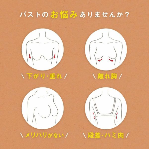 グラモアブラ グラモア glamore FT0087 育乳ブラ 脇肉補正 着痩せ 盛りブラ 脇高 段差レス バストケア 産後 補正下着 ABCD レディース 全15色 A70-D80 ブラジャー shirohato-10221628 SHIROHATO(白鳩) サンプル画像3
