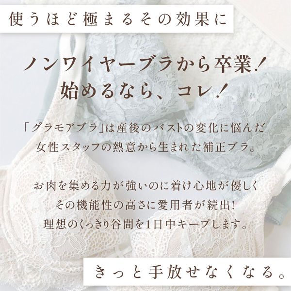 【店内P5倍・7/18まで】 グラモアブラ グラモア glamore FT0087 育乳ブラ 脇肉補正 着痩せ 盛りブラ 脇高 段差レス 産後 補正下着 大きいサイズ EFG レディース 全15色 E65-G80 ブラジャー shirohato-10221629 SHIROHATO(白鳩) サンプル画像2