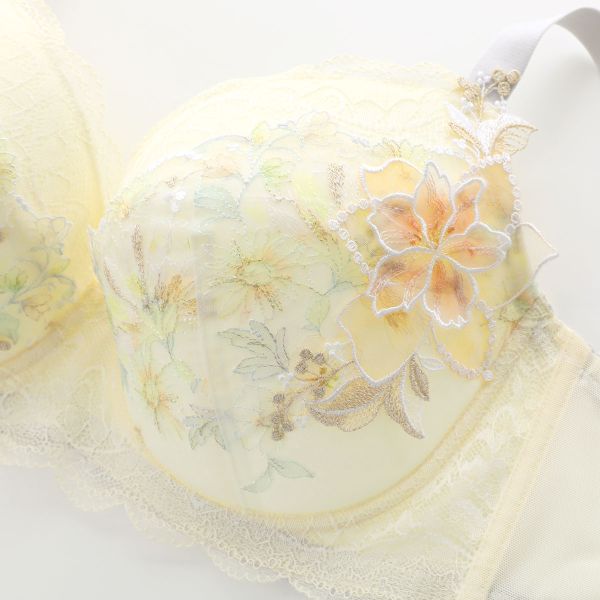【20%OFF・7/13 09:59まで】 ワコール プレミアム 26series BXD026 26G クイーンサ...
