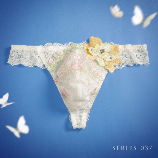 ヒミコ 037シリーズ Tバック パンツ バックレース タンガ メンズ M L HIMICO 大人ランジェリー 自分への（2枚目）
