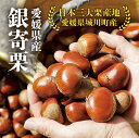 【スーパーSALE限定339円オフクーポン】 愛媛県城川町産の生栗【銀寄栗】2L / 3Lサイズ 1kg 2kg 3kg 4kg 栗 くり クリ 生栗 高級 大きい 甘い 大玉 特産品 焼き栗 栗ご飯 生栗 期間限定 季節限定 先行予約 和栗 奥伊予 愛媛県 西予市 城川町 【9月24日以降ご予約順に発送】