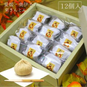 無添加消費期限5日間!手作りの栗きんとん【12個入】ギフト包装対応 バレンタインデー