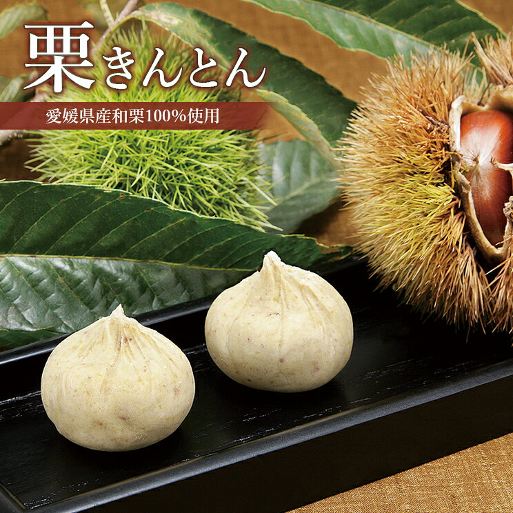 Sweet Chestnuts - ＼ 父の日 早割 500円クーポン／スイーツ【和栗と砂糖のみ】お菓子 送料無料 「栗きんとん 12個入・16個入」お取り寄せ 和菓子 くりきんとん 和栗 くり クリ 上生菓子 国産 手作り 高級 無添加 無着色 プレゼント 贈り物 贈答用 栗菓子 内祝い お返し お供え 個包装 愛媛