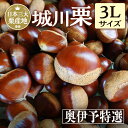 【スーパーSALE限定339円オフクーポン】 愛媛県城川産の大粒生栗 3Lサイズ1~4kg入 \レビュー★4.7の高評価!/ 栗 くり クリ 生栗 大きい 甘い 大玉 特産品 焼き栗 栗ご飯 生栗 期間限定 季節限定 先行予約 1kg 2kg 3kg 4kg 和栗 奥伊予栗 【9月12日~ご予約順に出荷開始】