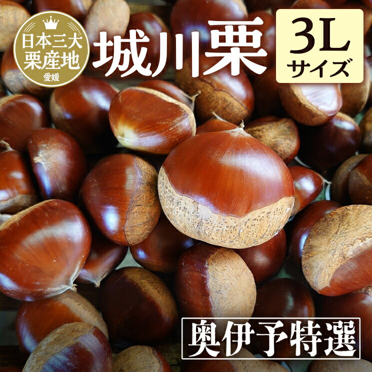 【最安1kg2945円〜！】 愛媛県城川産 大粒生栗 3Lサイズ1～4kg ＼レビュー★4.7の高評価！／ 栗 くり クリ 生栗 《レビューキャンペーン中》大きい 甘い 大玉 特産品 焼き栗 栗ご飯 期間限定 季節限定 2kg 3kg 4kg 和栗 奥伊予栗 【ご予約順に発送中】のサムネイル