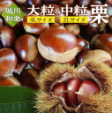 愛媛県城川町産の生栗 中粒 2L & 特大粒 4L サイズ 1kg 2...(4)