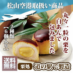 父の日 スイーツ 国産 手作り 「栗まんじゅう2種6個入り」【送料無料】栗饅頭 栗 愛媛 高級 マロン お取り寄せ 和菓子 ギフト 誕生日 贈答 卒業祝い 入学祝い