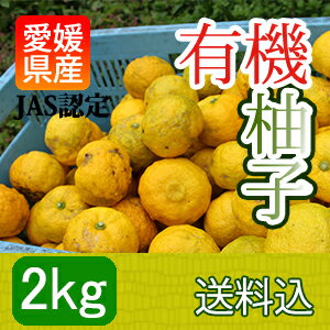 【送料無料】愛媛産の”有機生柚子”[2kg入］JAS認定完全無農薬　冬至