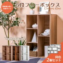 \本日エントリーと楽天カードご利用で最大ポイント4倍!/カラーボックス 大容量 2台セット 2列 2段 3段 A4対応 収納ボックス 棚 本棚 組立家具 木目 ...