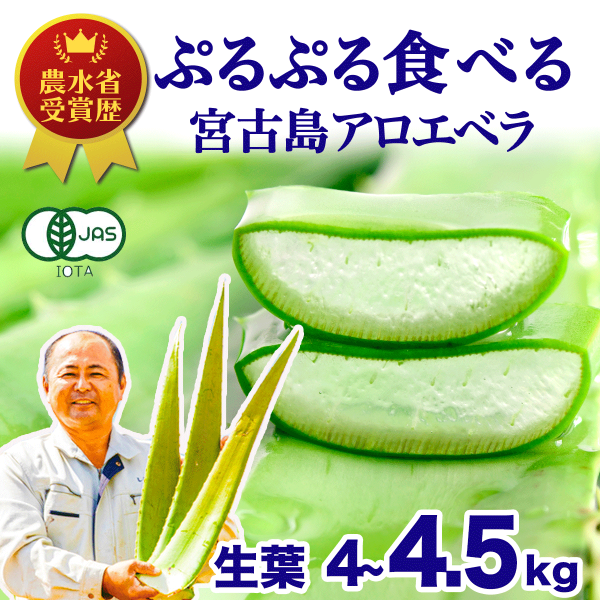 【食用】アロエベラ 生葉 沖縄 宮古島 国産 4-4.5kg 有機JAS アロエ うるおい 保湿 健康 抗酸化 お肌を整える サプリ 腸活 スッキリ ダイエット デトックス 美容 生活習慣
