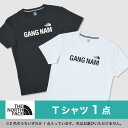 【数量限定】ブランド 福袋 5点セット メンズ The North Face Champion Calvin Klein Tシャツ フーディー アウター フリース