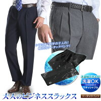 ウォッシャブル・ツータックスラックス（メンズ 春夏 ビジネス クールビズ ややゆとりサイズ） pants