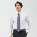 【43%OFF】【SALE】ボットーニ 長袖 形態安定 ニットシャツ