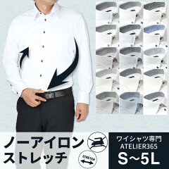 https://thumbnail.image.rakuten.co.jp/@0_mall/shirtshouse/cabinet/syouhin8/1131-24ss1.jpg