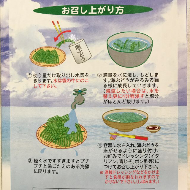 【海ぶどう・おつまみ】沖縄県産 海ぶどう(120g)★海ぶどう・沖縄県産・ギフト・おみやげ・人気・土産・海藻・ぷちぷち・生…