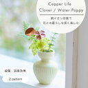 【期間延長！】送料無料 新商品 公式 shesay COPPER フラワーライフ スティック クローバー ウォーターポピー 2パターン 銅 ブロンズ イオン 銅イオン ボウル ボール 抗菌 殺菌 切り花 水 長持ち 花瓶 プレゼント ギフト おしゃれ シンプル 一輪挿し インテリア 生花 母の日