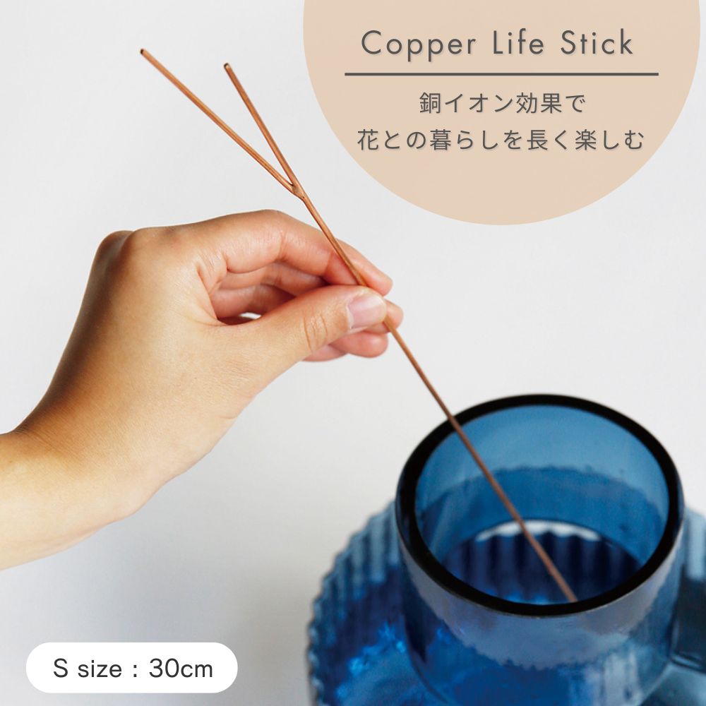 公式 人気商品 shesay COPPER コッパー 