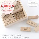 【母の日ラッピング無料】公式 shesay 桐箱入り天然木 防虫剤 カンフルツリーブロック 24個入 ウッドケース カンフル くすのき 木製 ブロック 防虫 虫...