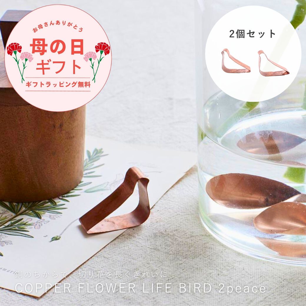 楽天市場】コッパー インテリア(花・ガーデン・DIY)の通販 楽天市場】コッパー インテリア(花・ガーデン・DIY)の通販