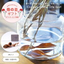 【母の日ラッピング無料】公式 shesay COPPER フラワーライフ リーフ 3枚入り 銅 葉っぱ リーフ イオン 銅イオン 抗菌 殺菌 切り花 長持ち 花...