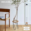 【とっておき価格】 公式 shesay 枝を支えるスタンドが付いた花台 高さ84cm 組み立て商品 枝物 花束 花台 ディスプレイ 台 小物置き ミニテーブル ドウダンツツジ アセビ グリーン インテリア おしゃれ アンティーク 模様替え 新居 引っ越し プレゼント ギフト