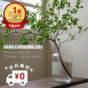 【ポイント20倍/500円OFFクーポン/送料無料】7/29花瓶ランキング1位!公式 shesay リューズガラス フラワーベース ネック 高さ26cm ランキ...
