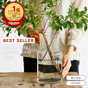【ベストセラー商品】公式 shesay リューズガラス フラワーベース ネック 高さ26cm ランキング受賞 人気 花瓶 おしゃれ 大きい ガラス インテリア フラワー ベース ガラス 花器 大きめ 透明 大型 リューズガラス 雑貨 フラワーアレンジメント シンプル 北欧 洗いやすい