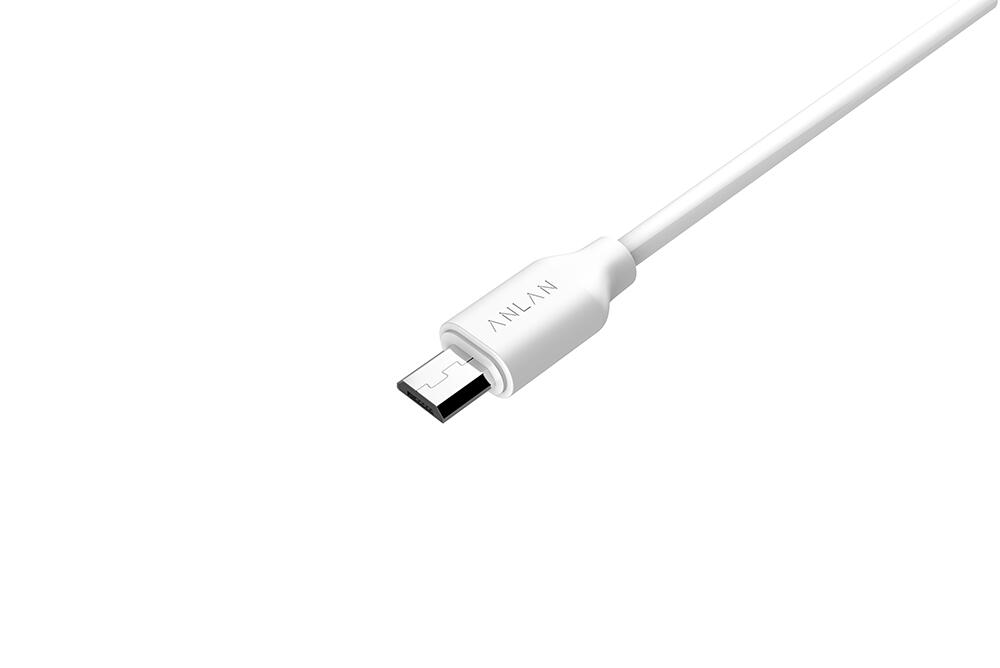 ANLAN 充電コード 充電ケーブル MicroUSB 美顔器用 1個 【ポスト投函】