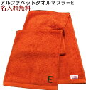 \10%OFFクーポン配布中〜7/11 23:59/イニシャル タオル【名入れマフラータオルオレンジ E】名前入り 名いれスポーツ 運動会 応援 タオル 刺繍 ...