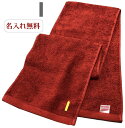 \全品5%OFFクーポン配布中/イニシャル タオル【名入れマフラータオルエンジ I】名前入り 名いれスポーツ 運動会 応援 タオル 刺繍 中高生 プレゼント ジム用タオル 引退 運動部 20cm×115cm 高校 運動会 体育祭 今治