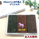 \3,500円以上10%OFFクーポン配布中/【25cm名入れタオルハンカチ3枚ギフト】定形外送料無料 ギフト プレゼント ギフト高校入学プレゼント 70代 2...