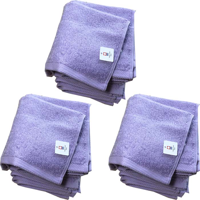 P2倍～10/21（月）23：59！【名入れハンドタオル　モダンリゾート　パープル300枚】今治タオル 名入れ　記念品ネーム刺繍 会社名入りタオル オープン記念品 まとめ買い 開店 周年記念品 社名 タオル タオル名入れ お名前刺繍 ハンドタオル 名入れ 文字入り