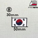 N-22-8 韓国　国旗　ワッペン