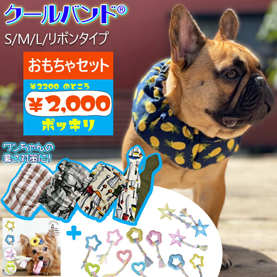 【 お得な おもちゃセット】クールバンド ＆保冷剤5個 犬用 選べる セット パステルリング ペット用 クールバンダナ クールネック ネッククーラー 暑さ対策 犬用 猫用 熱中症対策 首ひんやり 冷感 冷却 デンタルケア