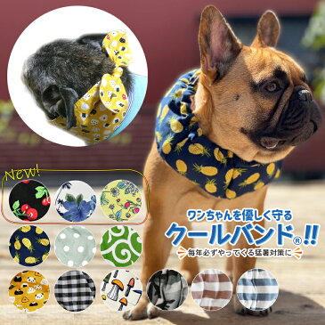 クールバンド ＆ 保冷剤5個 犬 クールバンダナ クールネック ネッククーラー ペット用 暑さ対策 犬用 猫用 熱中症対策 首ひんやり 冷感 冷却 首冷やす つめたい スヌード スカーフ 小型犬 中型犬 大型犬 かわいい 散歩 唐草 送料無料